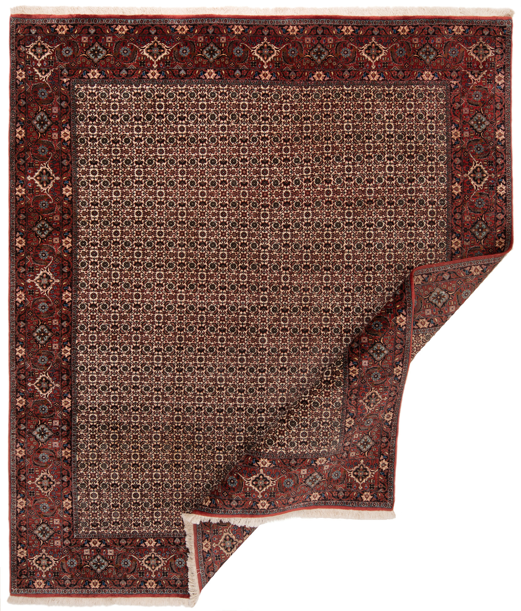 Tapis de course Moovyoo Jaguar 2.0 à 749,00€ chez Fitness Boutique