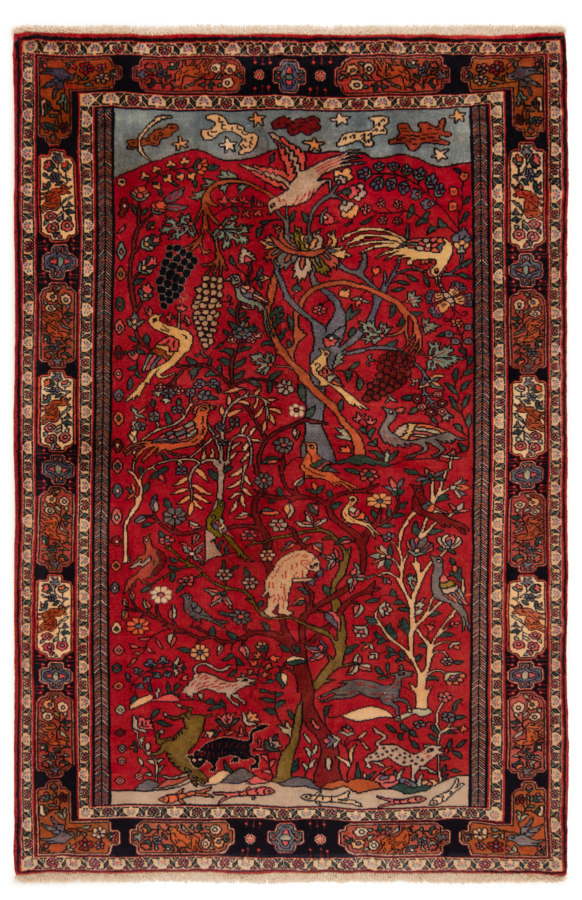 Zanjan Persian Rug Red 207 x 136 cm