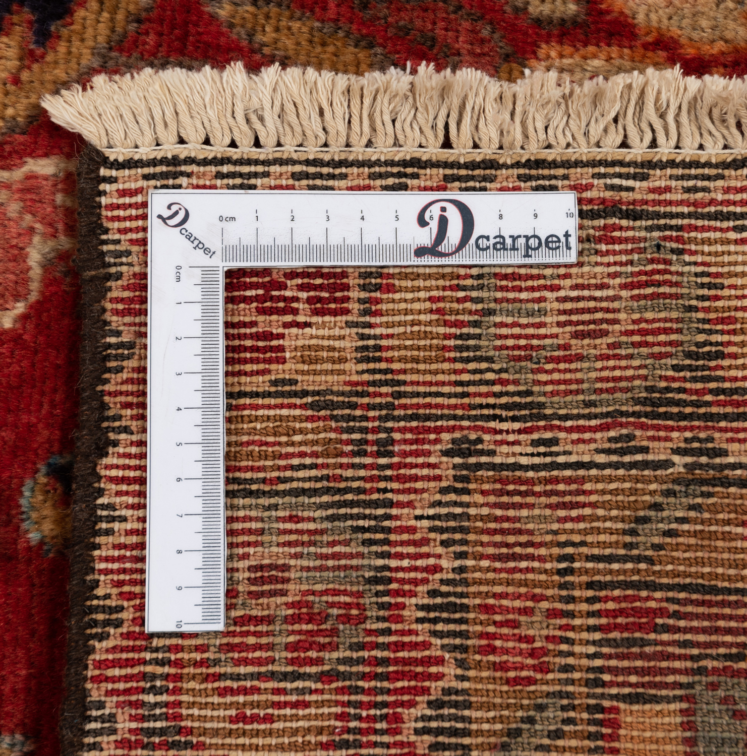 Hamedan Persian Rug